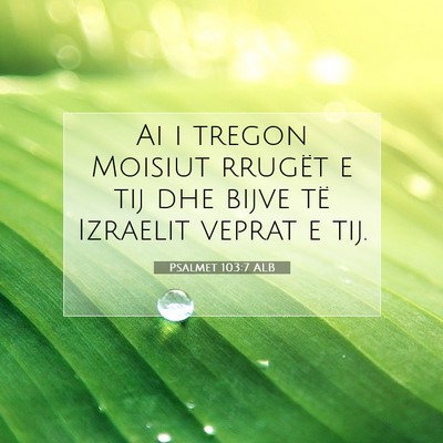 Picture 07 - Psalmet 103:7 ALB - Ai i tregon Moisiut rrugët e tij dhe bijve të - Bible Verse Picture