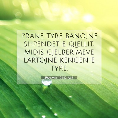 Picture 07 - Psalmet 104:12 ALB - Pranë tyre banojnë shpendët e qiellit; midis - Bible Verse Picture