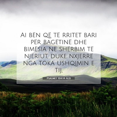 Picture 07 - Psalmet 104:14 ALB - Ai bën që të rritet bari për bagëtinë dhe - Bible Verse Picture