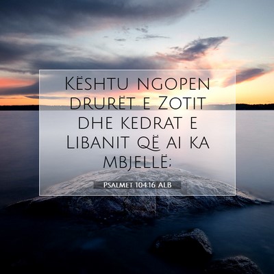 Picture 07 - Psalmet 104:16 ALB - Kështu ngopen drurët e Zotit dhe kedrat e - Bible Verse Picture