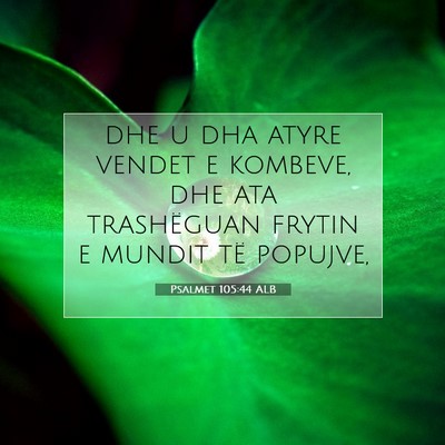 Picture 07 - Psalmet 105:44 ALB - dhe u dha atyre vendet e kombeve, dhe ata - Bible Verse Picture