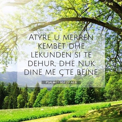 Picture 07 - Psalmet 107:27 ALB - Atyre u merren këmbët dhe lëkunden si të - Bible Verse Picture