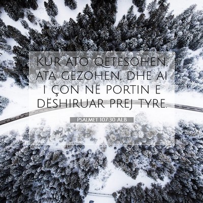 Picture 07 - Psalmet 107:30 ALB - Kur ato qetësohen, ata gëzohen, dhe ai i çon - Bible Verse Picture
