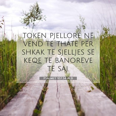 Picture 07 - Psalmet 107:34 ALB - tokën pjellore në vend të thatë për shkak - Bible Verse Picture
