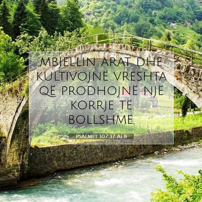 Picture 07 - Psalmet 107:37 ALB - mbjellin arat dhe kultivojnë vreshta që - Bible Verse Picture