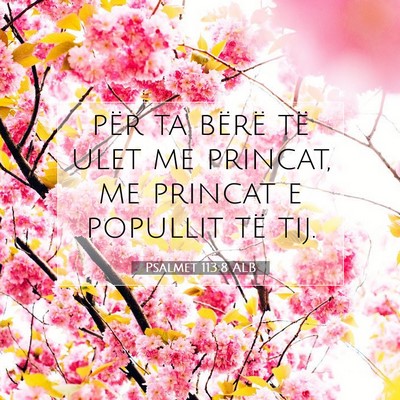 Picture 07 - Psalmet 113:8 ALB - për ta bërë të ulet me princat, me princat e - Bible Verse Picture