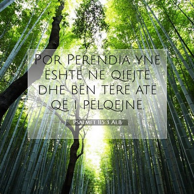 Picture 07 - Psalmet 115:3 ALB - Por Perëndia ynë është në qiejtë dhe bën - Bible Verse Picture