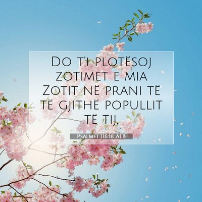 Picture 07 - Psalmet 116:18 ALB - Do t’i plotësoj zotimet e mia Zotit në prani - Bible Verse Picture