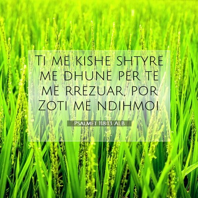 Picture 07 - Psalmet 118:13 ALB - Ti më kishe shtyrë me dhunë për të më - Bible Verse Picture