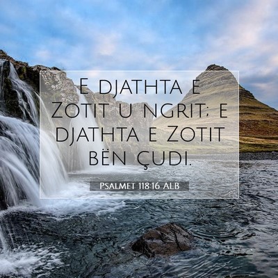 Picture 07 - Psalmet 118:16 ALB - E djathta e Zotit u ngrit; e djathta e Zotit bën - Bible Verse Picture