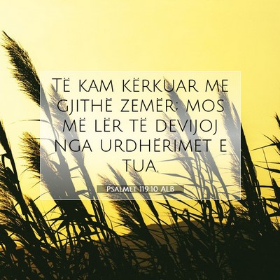 Picture 07 - Psalmet 119:10 ALB - Të kam kërkuar me gjithë zemër; mos më lër - Bible Verse Picture