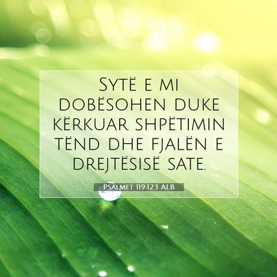 Picture 07 - Psalmet 119:123 ALB - Sytë e mi dobësohen duke kërkuar shpëtimin - Bible Verse Picture