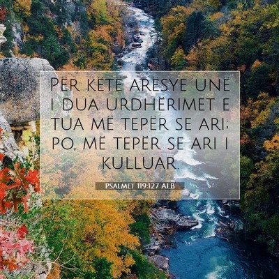 Picture 07 - Psalmet 119:127 ALB - Për këtë arësye unë i dua urdhërimet e tua - Bible Verse Picture