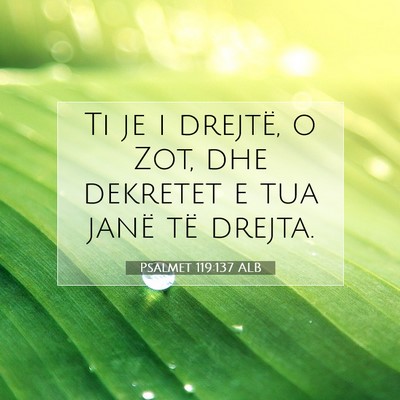 Picture 07 - Psalmet 119:137 ALB - Ti je i drejtë, o Zot, dhe dekretet e tua janë - Bible Verse Picture