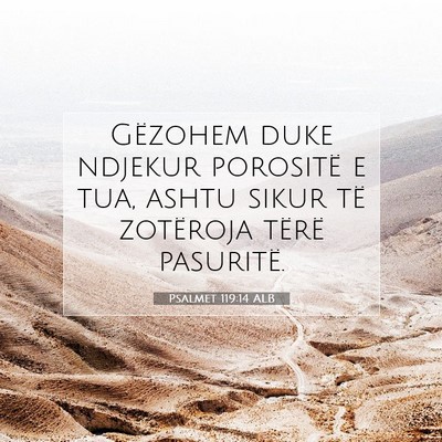Picture 07 - Psalmet 119:14 ALB - Gëzohem duke ndjekur porositë e tua, ashtu - Bible Verse Picture