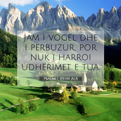 Picture 07 - Psalmet 119:141 ALB - Jam i vogël dhe i përbuzur, por nuk i harroi - Bible Verse Picture