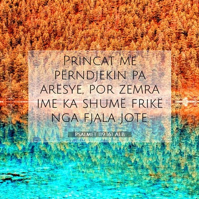 Picture 07 - Psalmet 119:161 ALB - Princat më përndjekin pa arësye, por zemra ime - Bible Verse Picture