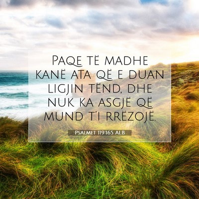 Picture 07 - Psalmet 119:165 ALB - Paqe të madhe kanë ata që e duan ligjin tënd, - Bible Verse Picture