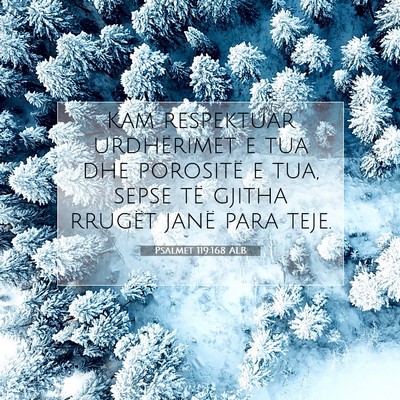 Picture 07 - Psalmet 119:168 ALB - Kam respektuar urdhërimet e tua dhe porositë e - Bible Verse Picture