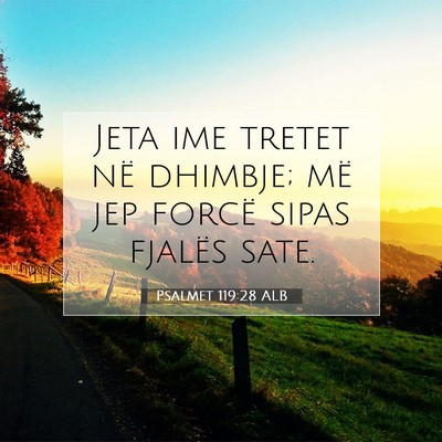 Picture 07 - Psalmet 119:28 ALB - Jeta ime tretet në dhimbje; më jep forcë sipas - Bible Verse Picture
