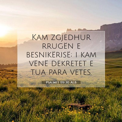Picture 07 - Psalmet 119:30 ALB - Kam zgjedhur rrugën e besnikërisë; i kam - Bible Verse Picture