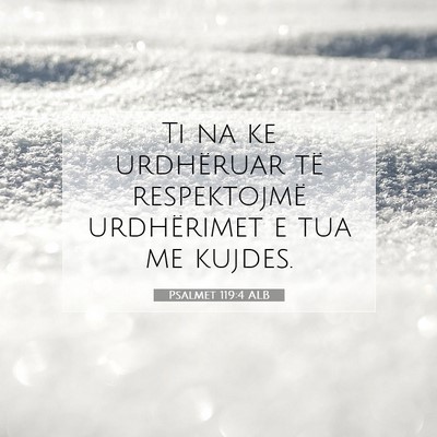 Picture 07 - Psalmet 119:4 ALB - Ti na ke urdhëruar të respektojmë urdhërimet - Bible Verse Picture