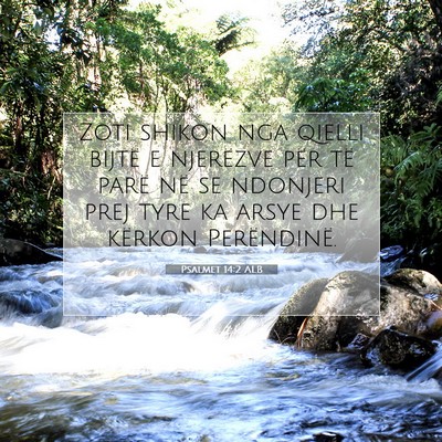 Picture 07 - Psalmet 14:2 ALB - Zoti shikon nga qielli bijtë e njerëzve për - Bible Verse Picture