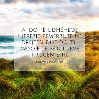 Picture 07 - Psalmet 25:9 ALB - Ai do të udhëheqë njerëzit zemërbutë në - Bible Verse Picture