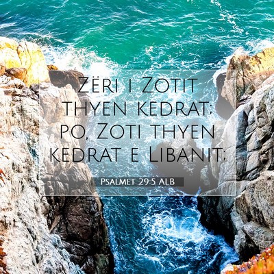 Picture 07 - Psalmet 29:5 ALB - Zëri i Zotit thyen kedrat; po, Zoti thyen kedrat - Bible Verse Picture