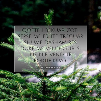 Picture 07 - Psalmet 31:21 ALB - Qoftë i bekuar Zoti, sepse më është treguar - Bible Verse Picture
