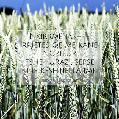 Picture 07 - Psalmet 31:4 ALB - Nxirrmë jashtë rrjetës që më kanë ngritur - Bible Verse Picture