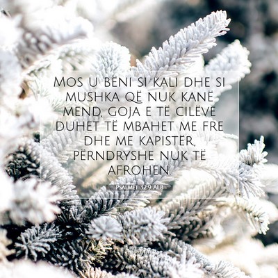 Picture 07 - Psalmet 32:9 ALB - Mos u bëni si kali dhe si mushka që nuk kanë - Bible Verse Picture