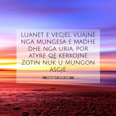 Picture 07 - Psalmet 34:10 ALB - Luanët e vegjël vuajnë nga mungesa e madhe dhe - Bible Verse Picture