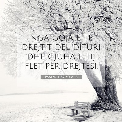 Picture 07 - Psalmet 37:30 ALB - Nga goja e të drejtit del dituri dhe gjuha e tij - Bible Verse Picture