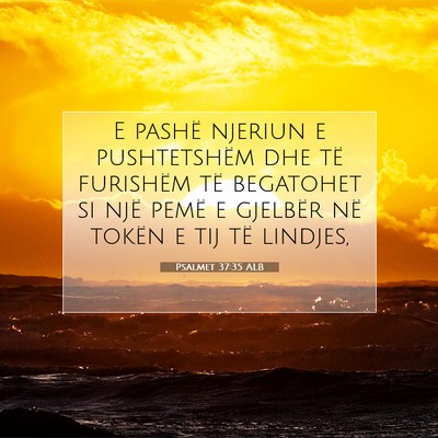 Picture 07 - Psalmet 37:35 ALB - E pashë njeriun e pushtetshëm dhe të furishëm - Bible Verse Picture