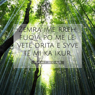 Picture 07 - Psalmet 38:10 ALB - Zemra ime rreh, fuqia po më lë; vetë drita e - Bible Verse Picture