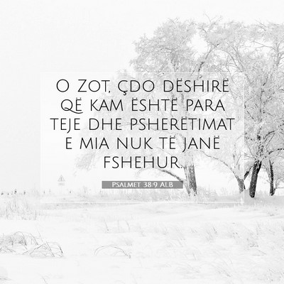 Picture 07 - Psalmet 38:9 ALB - O Zot, çdo dëshirë që kam është para teje - Bible Verse Picture