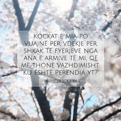 Picture 07 - Psalmet 42:10 ALB - Kockat e mia po vuajnë për vdekje për shkak - Bible Verse Picture