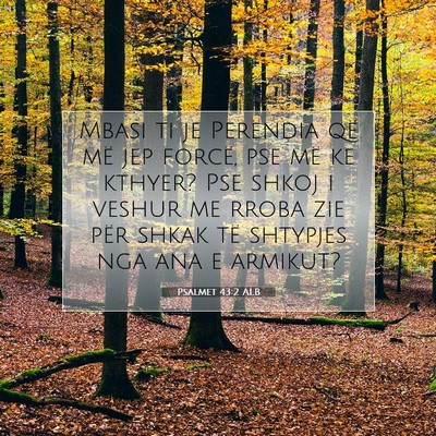 Picture 07 - Psalmet 43:2 ALB - Mbasi ti je Perëndia që më jep forcë, pse më - Bible Verse Picture