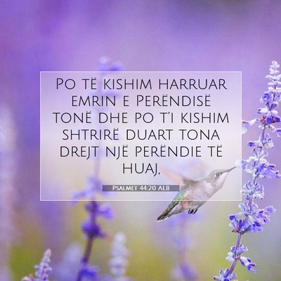 Picture 07 - Psalmet 44:20 ALB - Po të kishim harruar emrin e Perëndisë tonë - Bible Verse Picture
