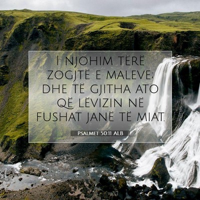 Picture 07 - Psalmet 50:11 ALB - I njohim tërë zogjtë e maleve; dhe të gjitha - Bible Verse Picture
