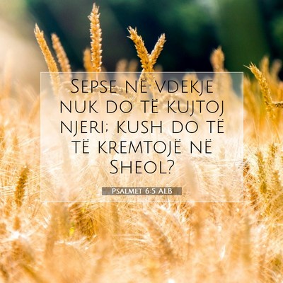 Picture 07 - Psalmet 6:5 ALB - Sepse në vdekje nuk do të kujtoj njeri; kush do - Bible Verse Picture