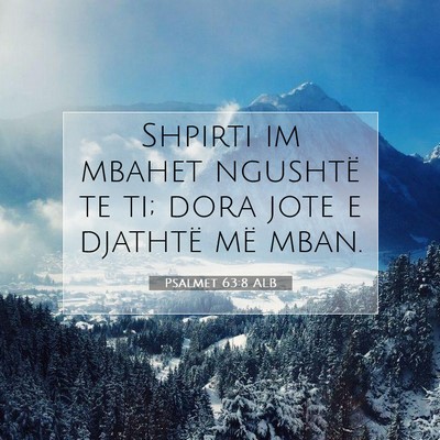 Picture 07 - Psalmet 63:8 ALB - Shpirti im mbahet ngushtë te ti; dora jote e - Bible Verse Picture