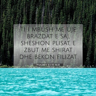 Picture 07 - Psalmet 65:10 ALB - Ti i mbush me ujë brazdat e saj, sheshon plisat, - Bible Verse Picture