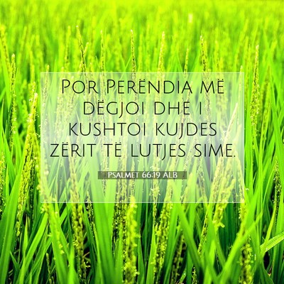 Picture 07 - Psalmet 66:19 ALB - Por Perëndia më dëgjoi dhe i kushtoi kujdes - Bible Verse Picture