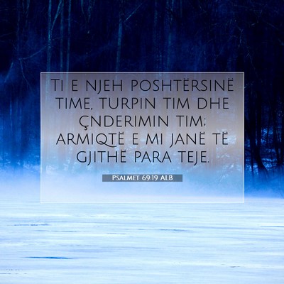 Picture 07 - Psalmet 69:19 ALB - Ti e njeh poshtërsinë time, turpin tim dhe - Bible Verse Picture