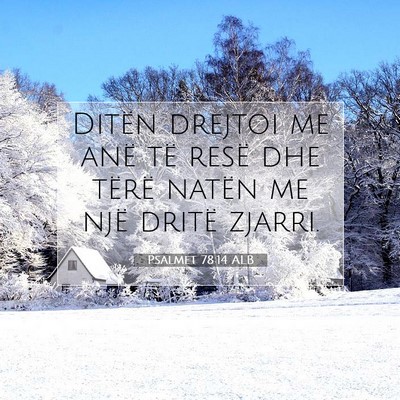 Picture 07 - Psalmet 78:14 ALB - Ditën drejtoi me anë të resë dhe tërë - Bible Verse Picture