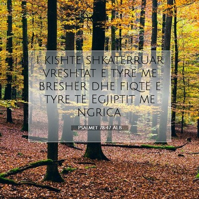 Picture 07 - Psalmet 78:47 ALB - I kishte shkatërruar vreshtat e tyre me breshër - Bible Verse Picture