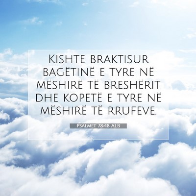 Picture 07 - Psalmet 78:48 ALB - Kishte braktisur bagëtinë e tyre në mëshirë - Bible Verse Picture