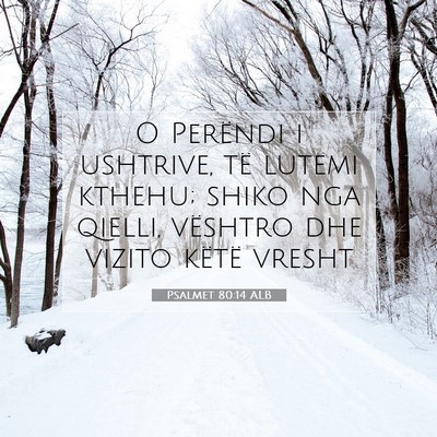 Picture 07 - Psalmet 80:14 ALB - O Perëndi i ushtrive, të lutemi kthehu; shiko - Bible Verse Picture